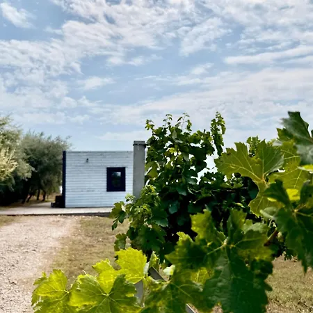 & - Terizis Le Rocher Bŭlgarevo