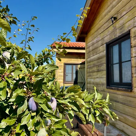 & - Terizis Le Rocher Otel