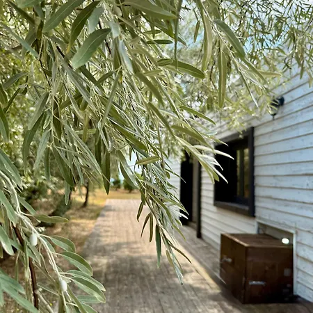 & - Terizis Le Rocher *