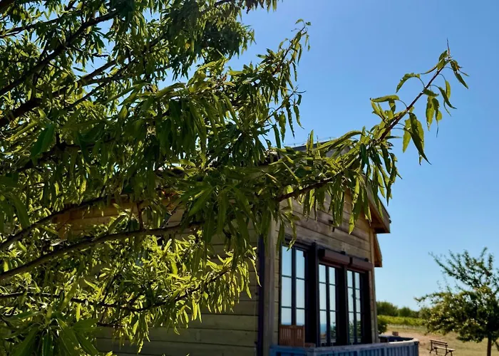 & - Terizis Le Rocher Hotel