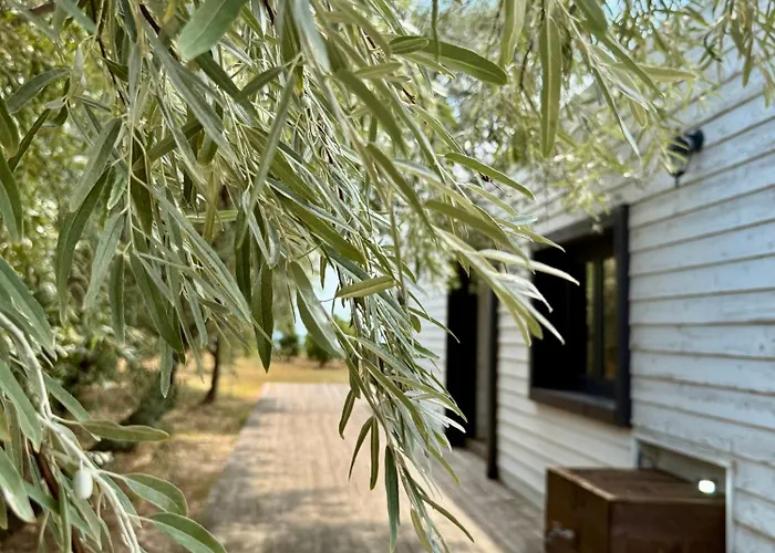 & - Terizis Le Rocher *