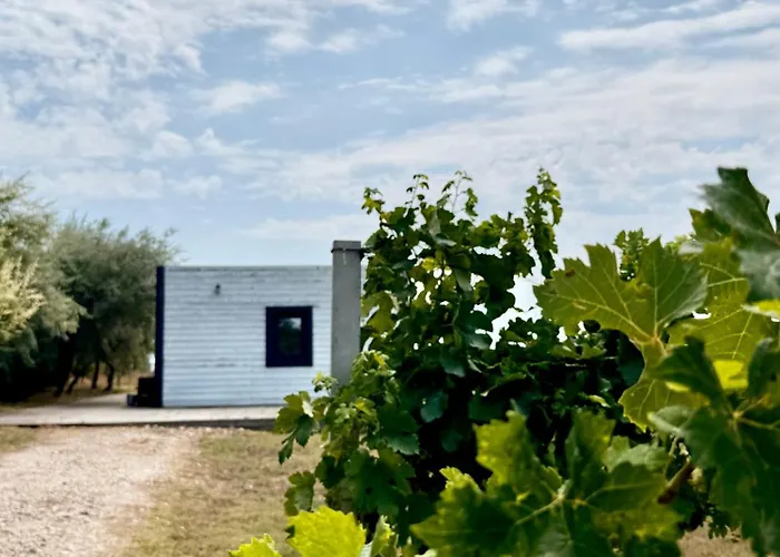 & - Terizis Le Rocher Bulgarevo